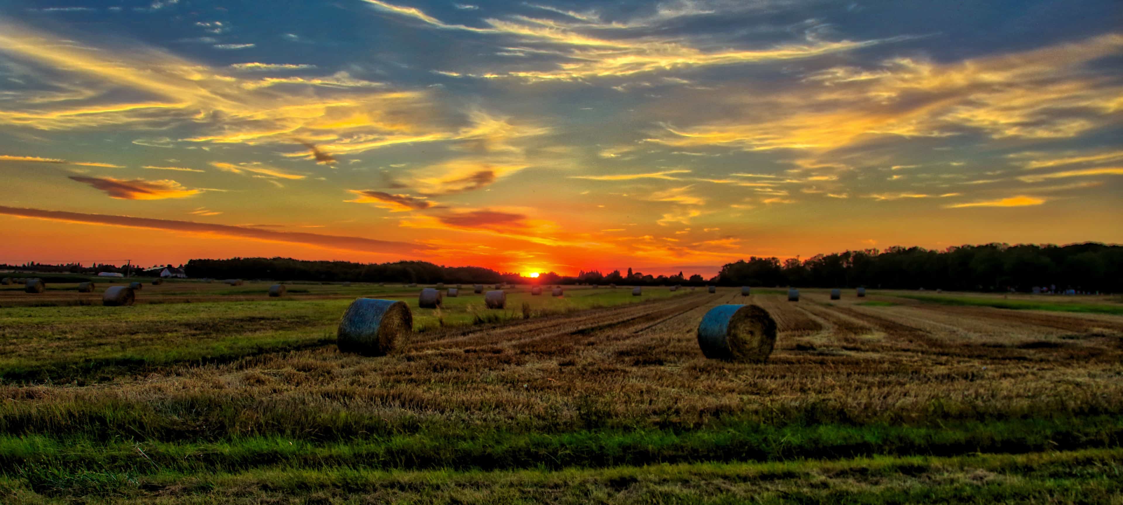 Romantic Chianti at Sunset - Small Group Excursion from Florence with Wine Tastings