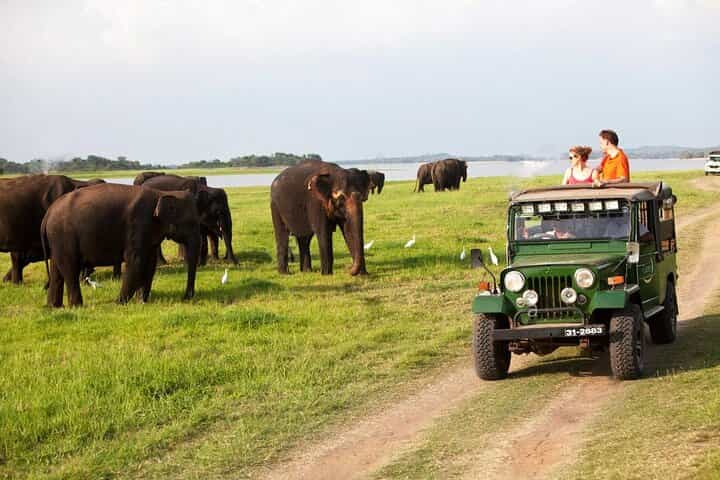 Sigiriya Rock and Jeep Safari Private Tour from Trincomalee