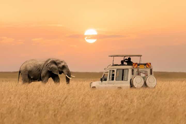 6 Days Private Tanzania Midrange Safari Adventure