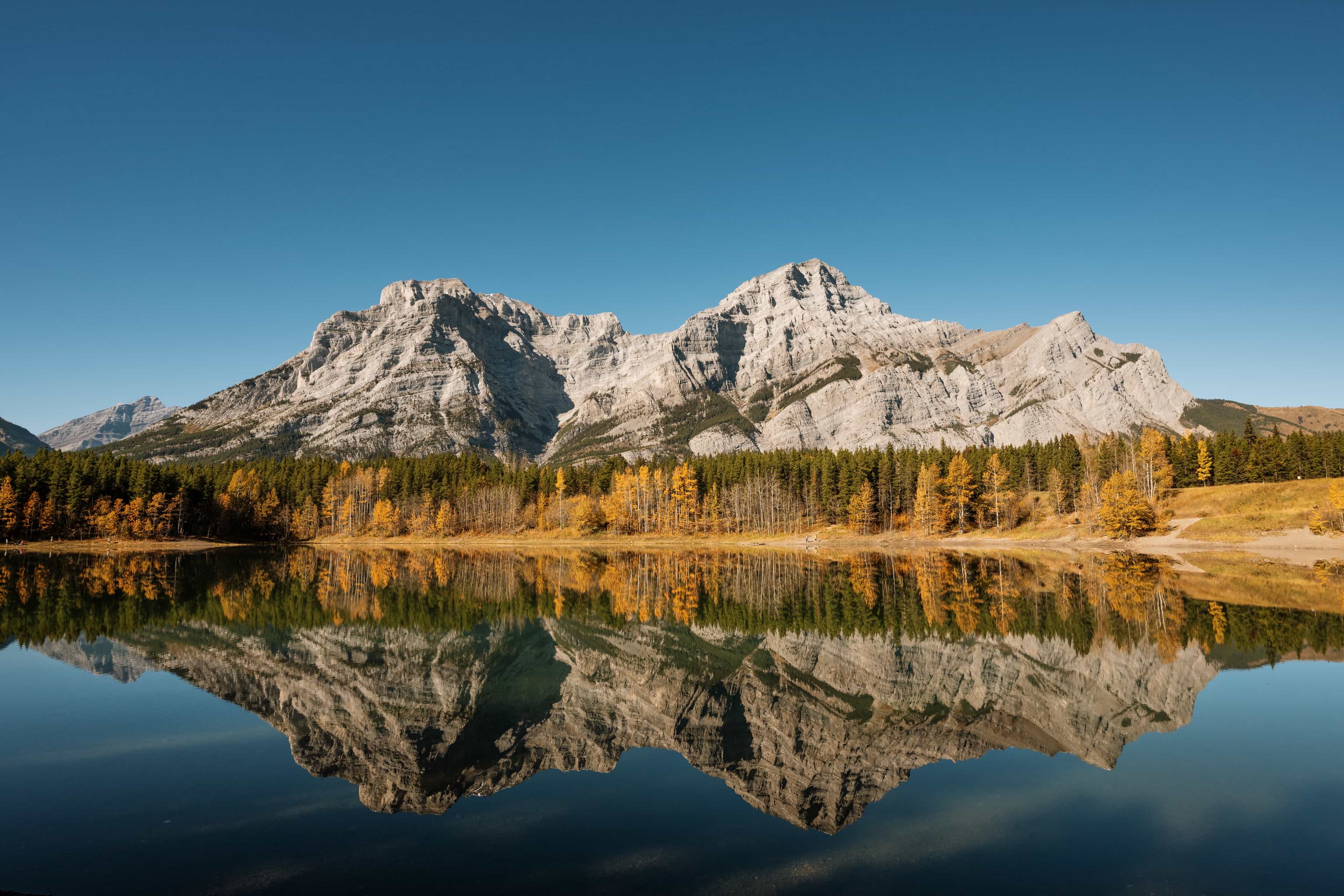 Private From Banff/Canmore | Signature "Taste of Kananaskis" Loop (Multi-Stop)