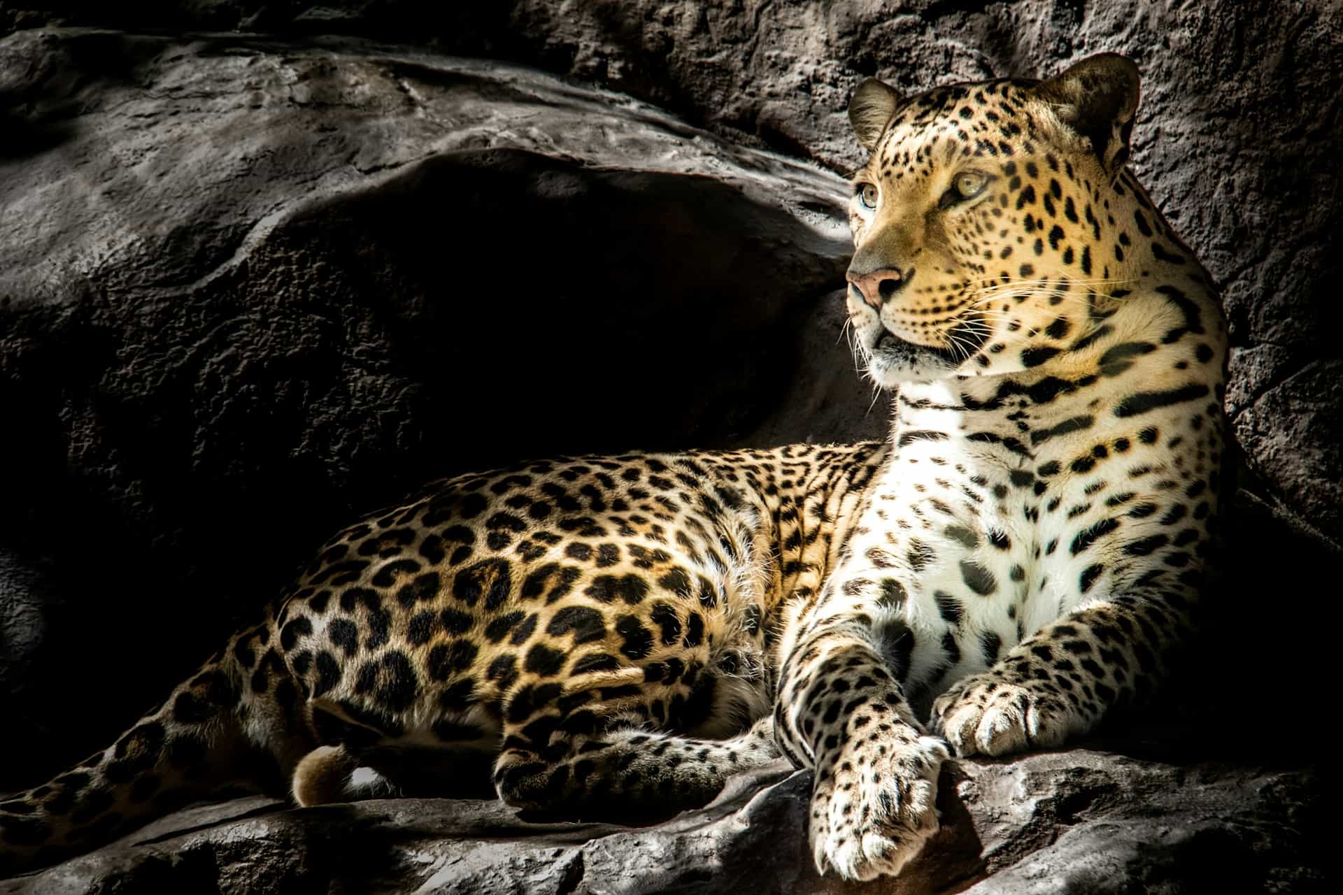 5 Day Tented Camp Midrange Safari