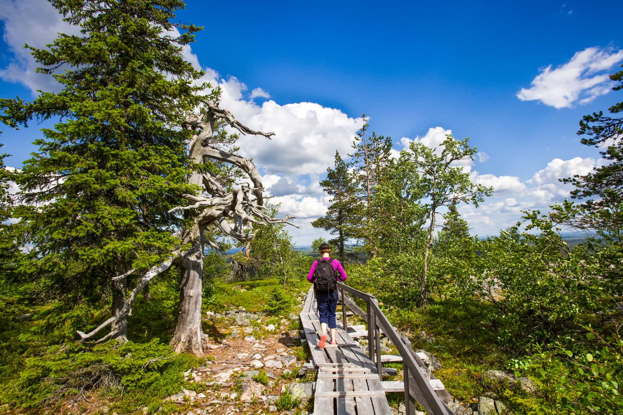Rovaniemi: Korouoma Canyon Hike Tour & Barbeque - Small Group