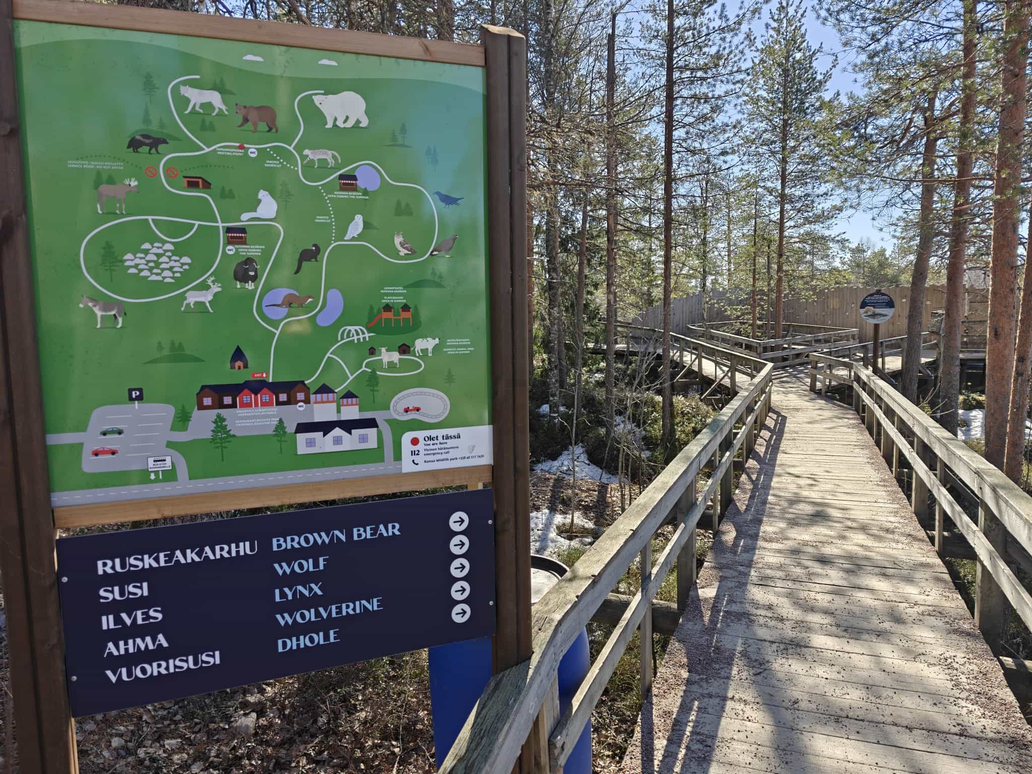 Arctic Wildlife Adventure: Ranua Zoo Tour