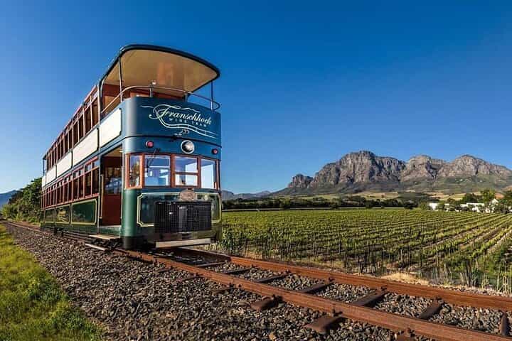 Half Day Cape Winelands Experience in Stellenbosch Private Tour