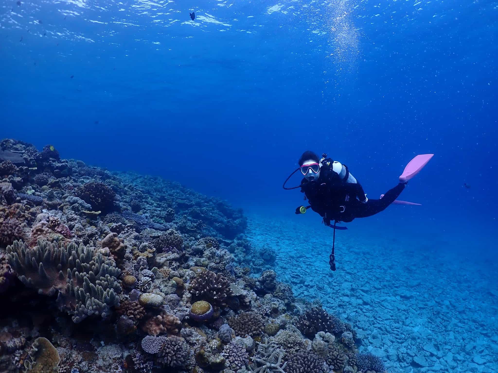 Okinawa Boat Fun Diving at Minna, Sesoko or Motobu