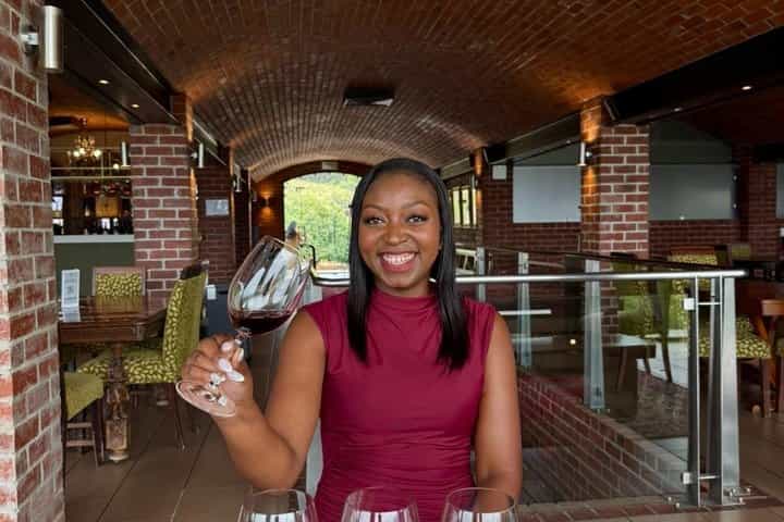 Stellenbosch, Paarl & Franschhoek Private Full Day Wine Tour 