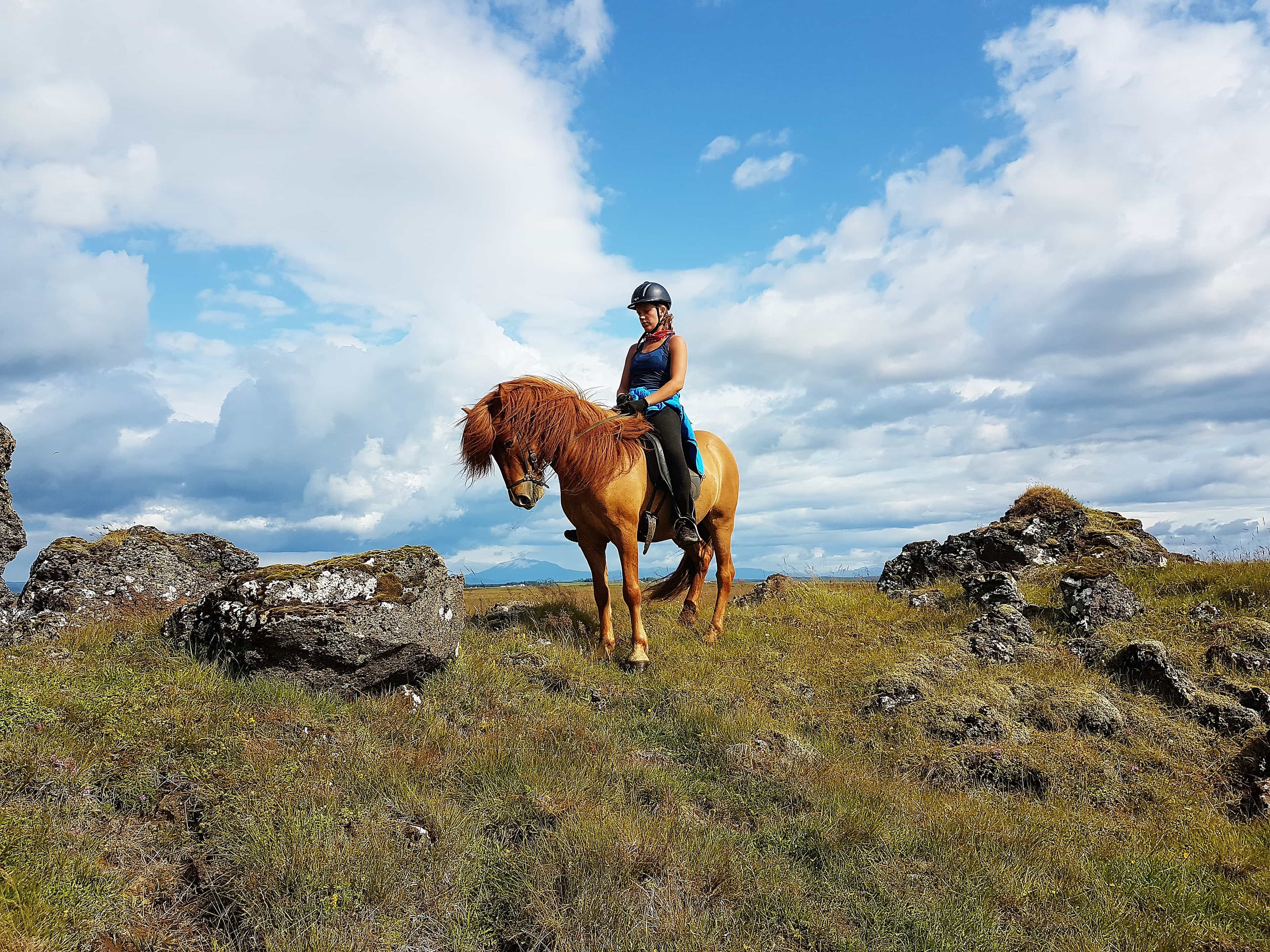 2-Hour Horseback Riding Tour