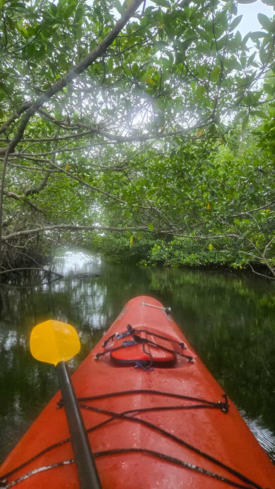  Kayaking in the Placencia Lagoon - Sunrise or Sunset (time varies)