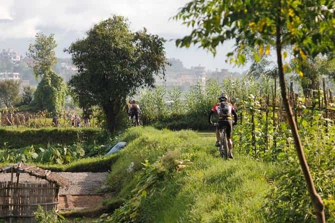 11 Days- Nepal Mountain Biking & Jungle Safari at Chitwan National Park