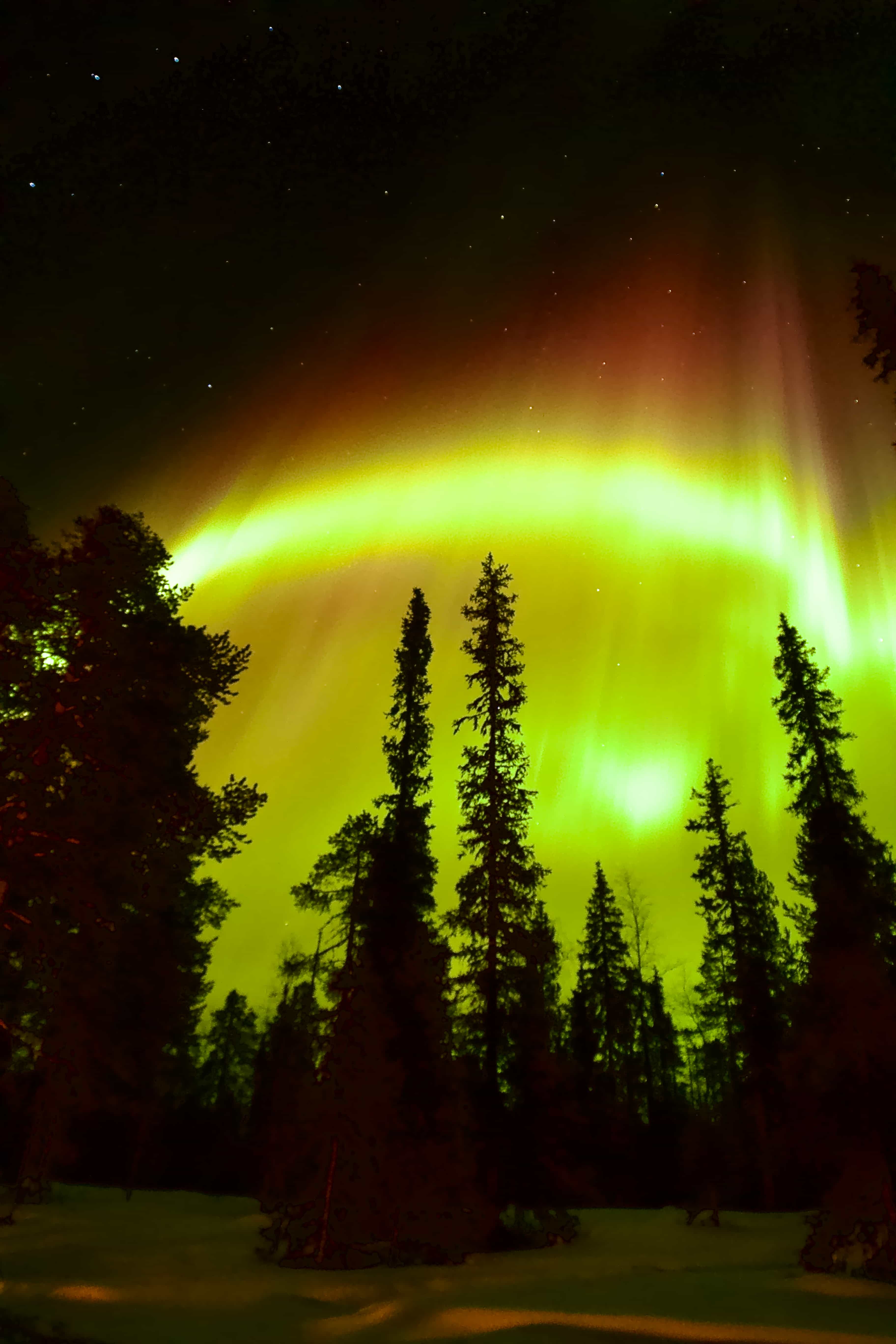 Arctic Exclusive Northern Lights Experience