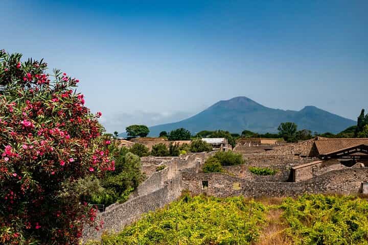 Pompeii, Vesuvius Hike and Wine Tasting with Lunch from Salerno