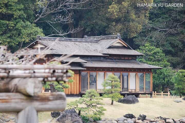 Anywhere you Like Tokyo Customized Tour in 5 hours