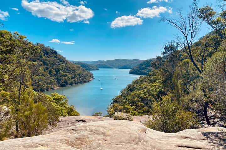 Sydney: National Park Hike, Aboriginal Rock Art & Oyster tasting
