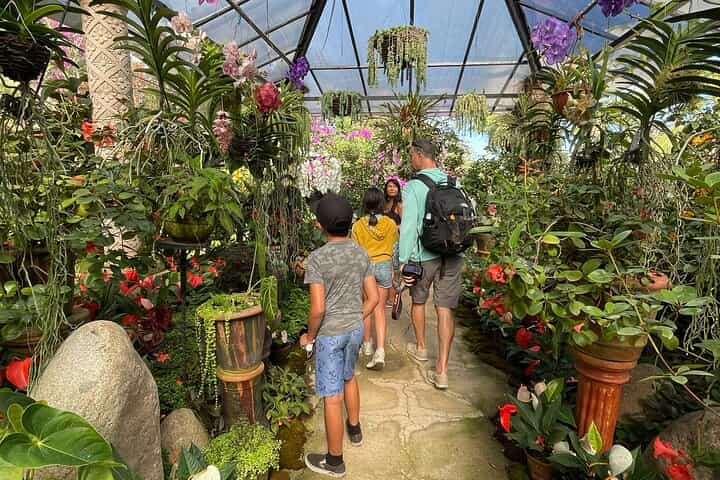 Puerto Vallarta Botanical Gardens Hiking Tour