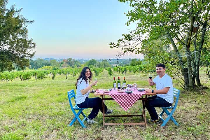 Private Tour in Citroën 2cv in the Vineyards with Wine Tasting