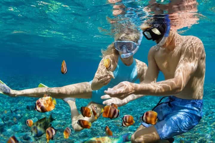 Puerto Morelos Turtle and Reef Snorkeling Adventure