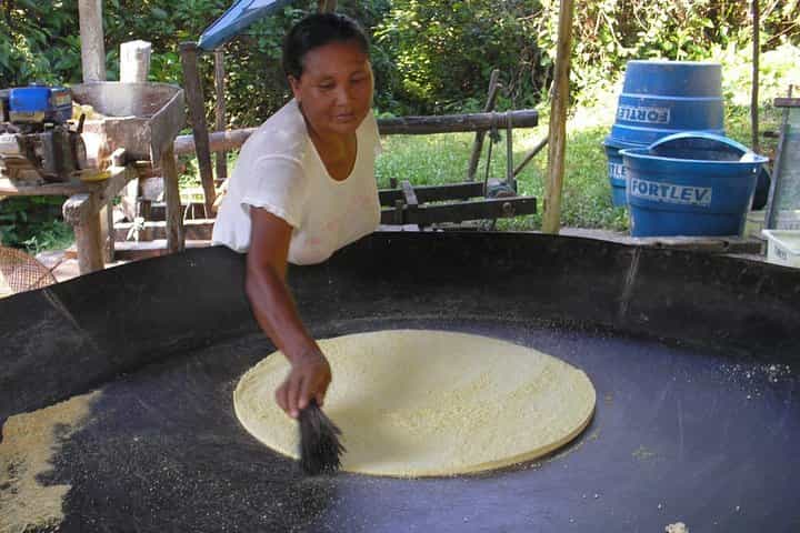 Amazon Jungle Experience – 2 Days / 1 Night