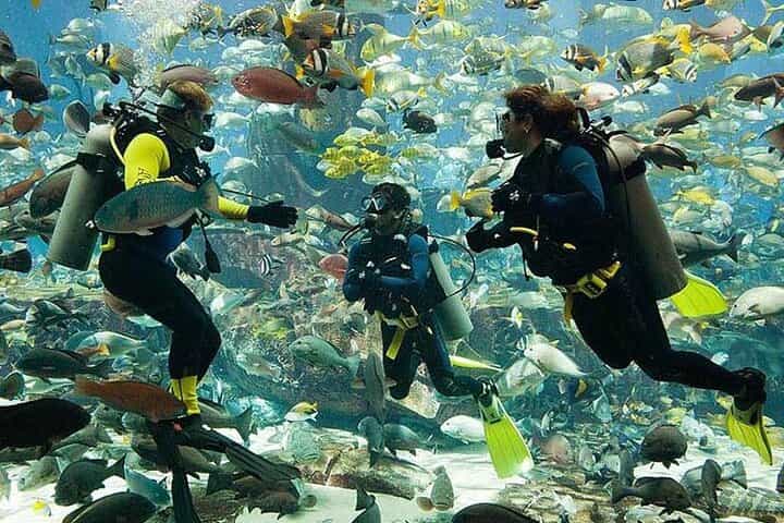 Scuba Diving at Jumeirah Dubai with Private Transfers
