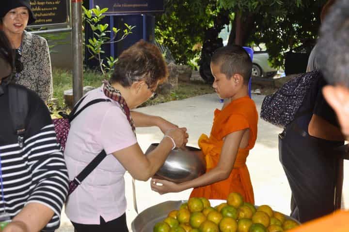 3-Day Chiang Mai: Culture, Nature & Living Wisdom (without hotel)