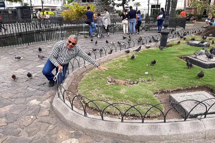 Shared Walking Tour in Guayaquil City