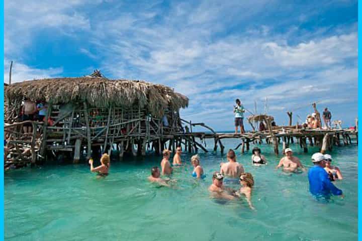 Black River Safari Guided Tour, YS Falls and Floyd Pelican Bar