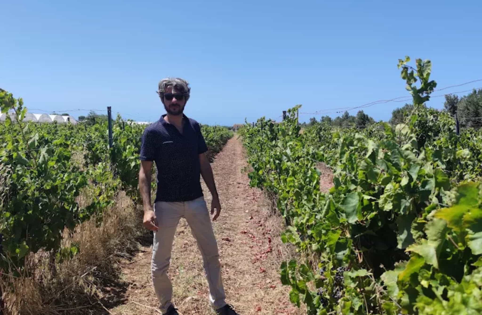 Winery Tour with Wine Tasting & Local Food near Ragusa