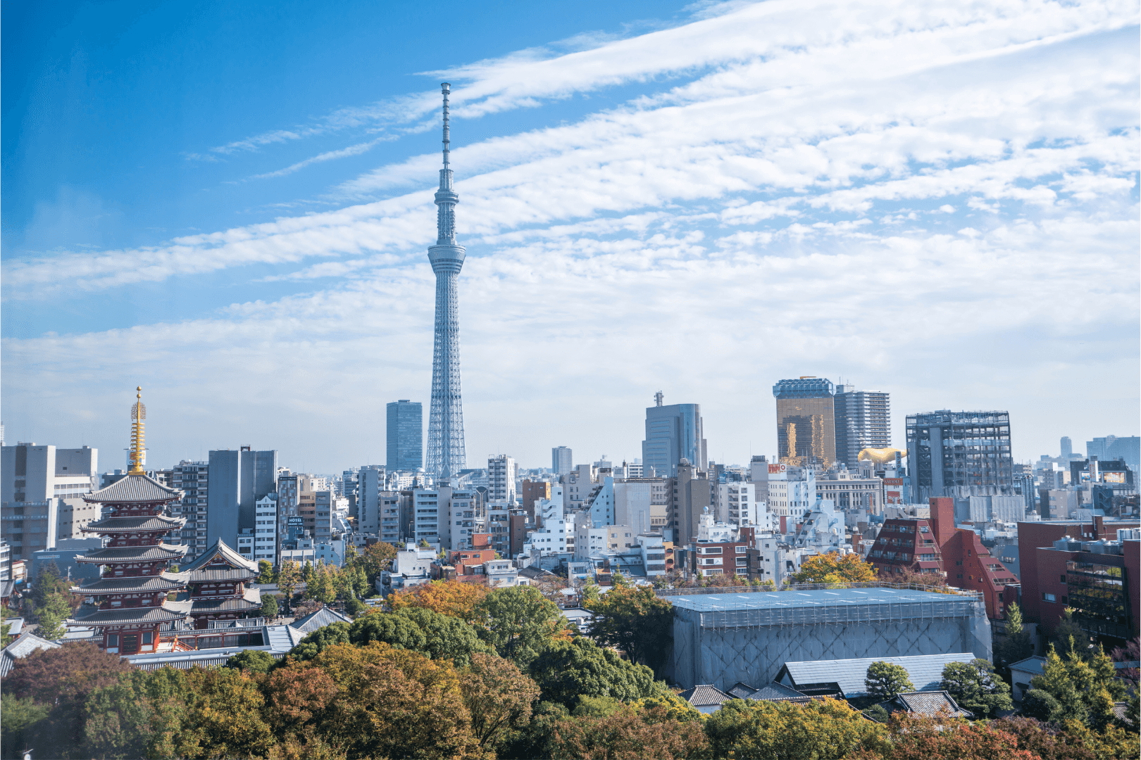 Tokyo Classic Day Tour |Sensoji, Skytree, Tokyo Station＆Akihabara - Layover suitable 