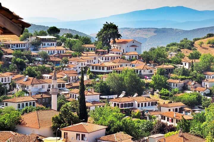 Private Ephesus Artemis Temple and Şirince Tour from Izmir