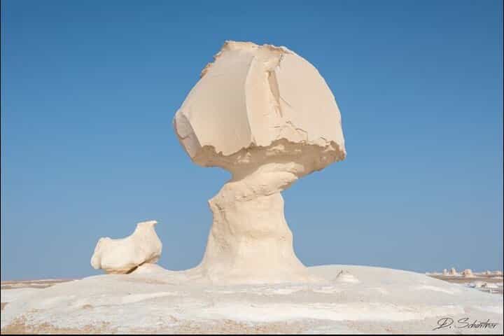 Private Full-Day Tour From Cairo - Visit Black and White Deserts