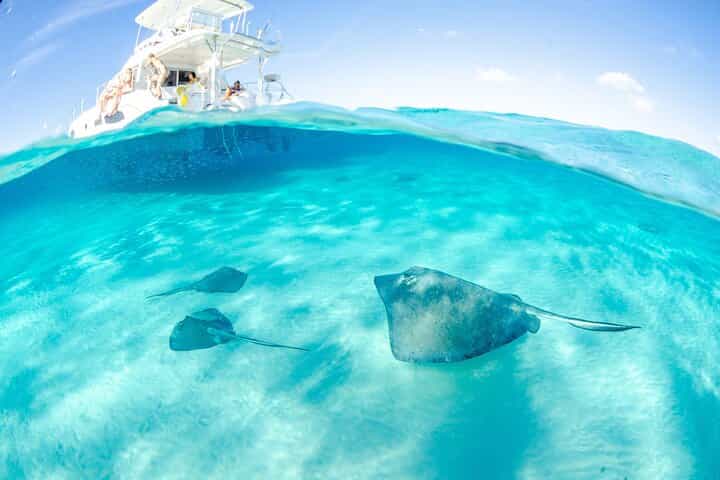 Cayman Adventure: Starfish Point, Stingray City and Coral Gardens