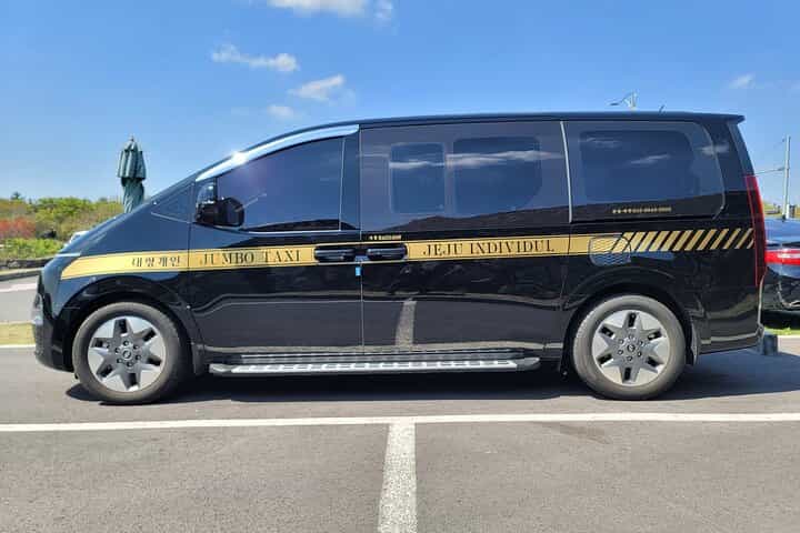 Jeju Airport Private Transportation Service - Round Trip