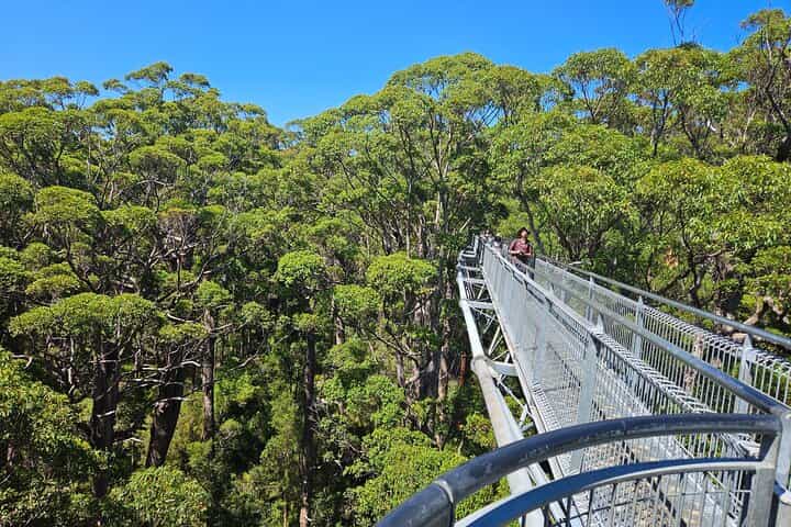 2 Day Tour Busselton Jetty, Ngilgi Cave to Valley of the Giants