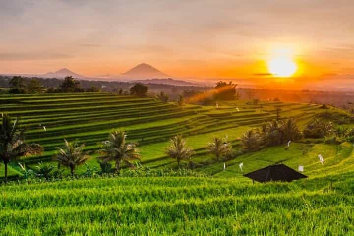 Bedugul Ulun Danu Beratan Temple, Jatiluwih and Tanah Lot Temple