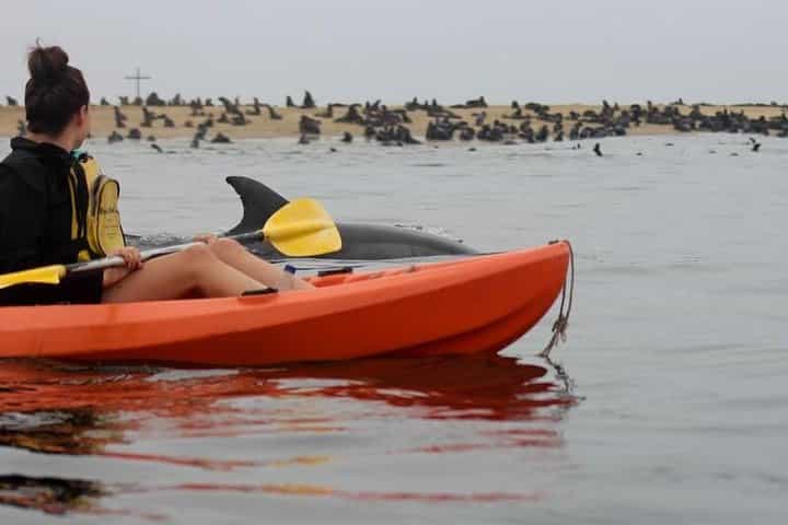 Kayaking and Sandwich Habour Guided Day Tour from Walvis Bay