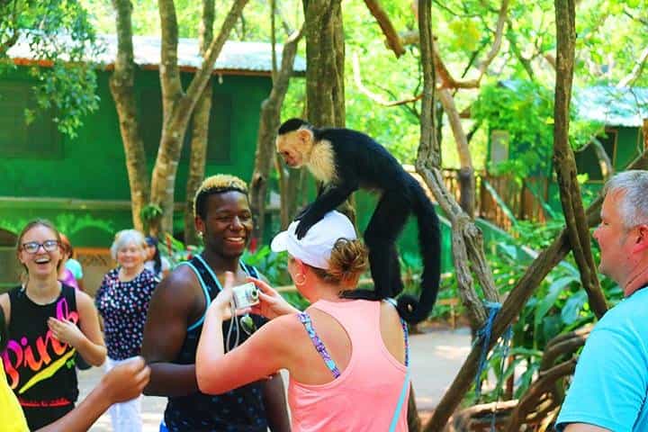 Cruise Ship Guests Sightseeing, Wildlife & Transfer Tour
