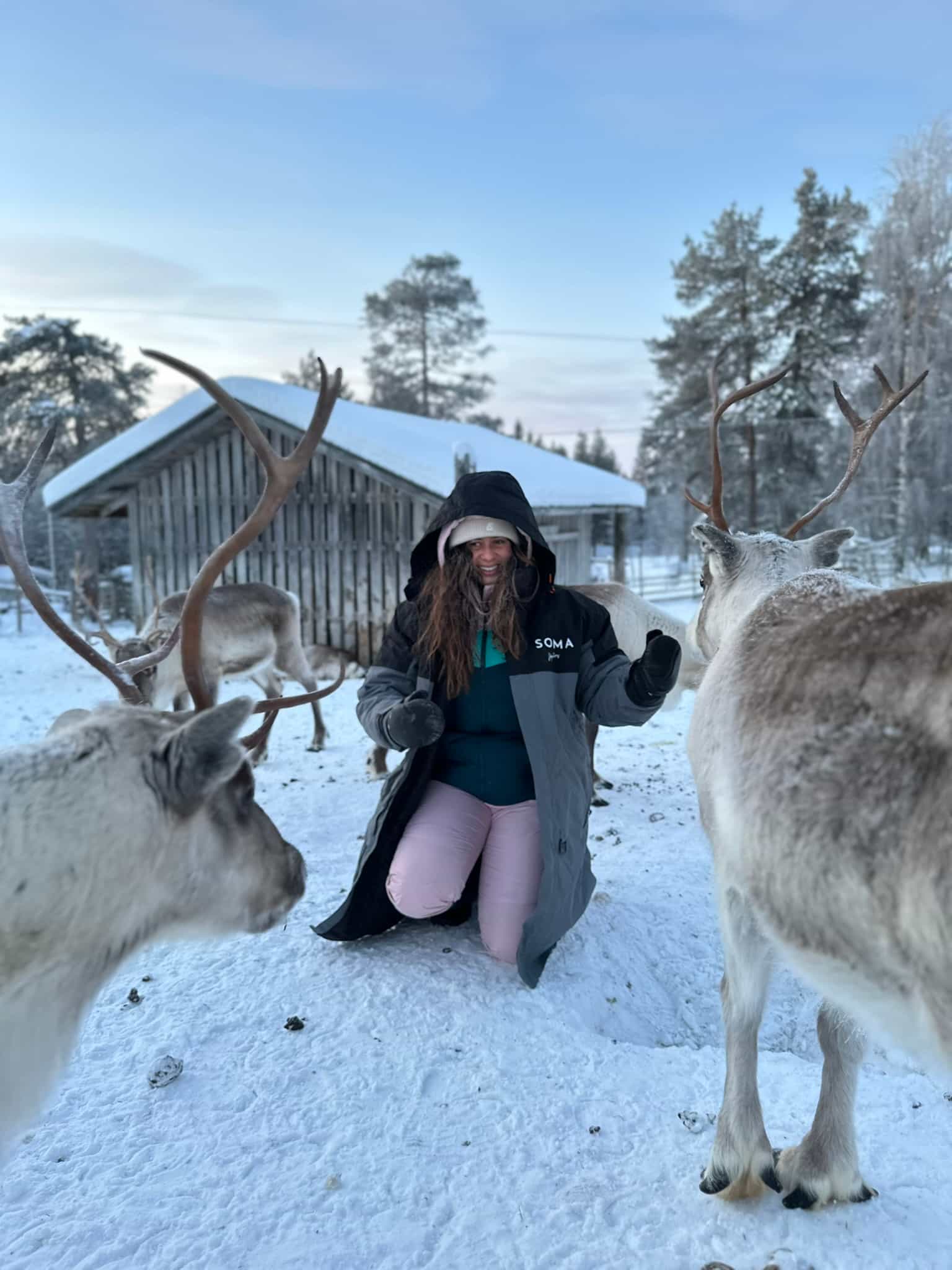 Reindeer Husbandry with Snowmobile Sleigh Ride and Traditional Cabin Lunch