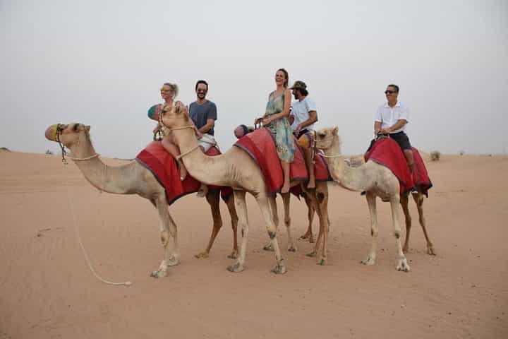 Dubai Sunrise Safari in red dune with Camel Trek with Breakfast
