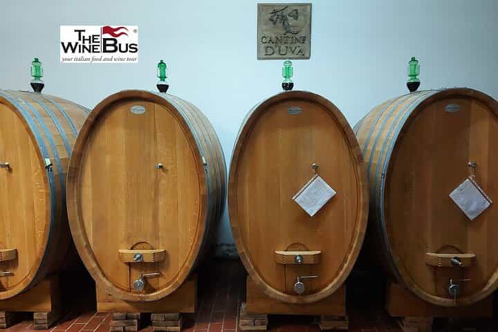 Private Tintilia del Molise Wine Tour from CAMPOBASSO
