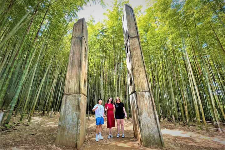 Busan Highlights Premium Small Group Tour(Max 6 Guests)