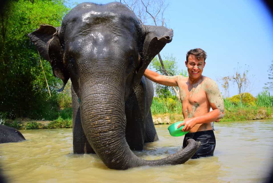 Phuket: Elephant Save & Care Program Tour (Half Day Tour) 