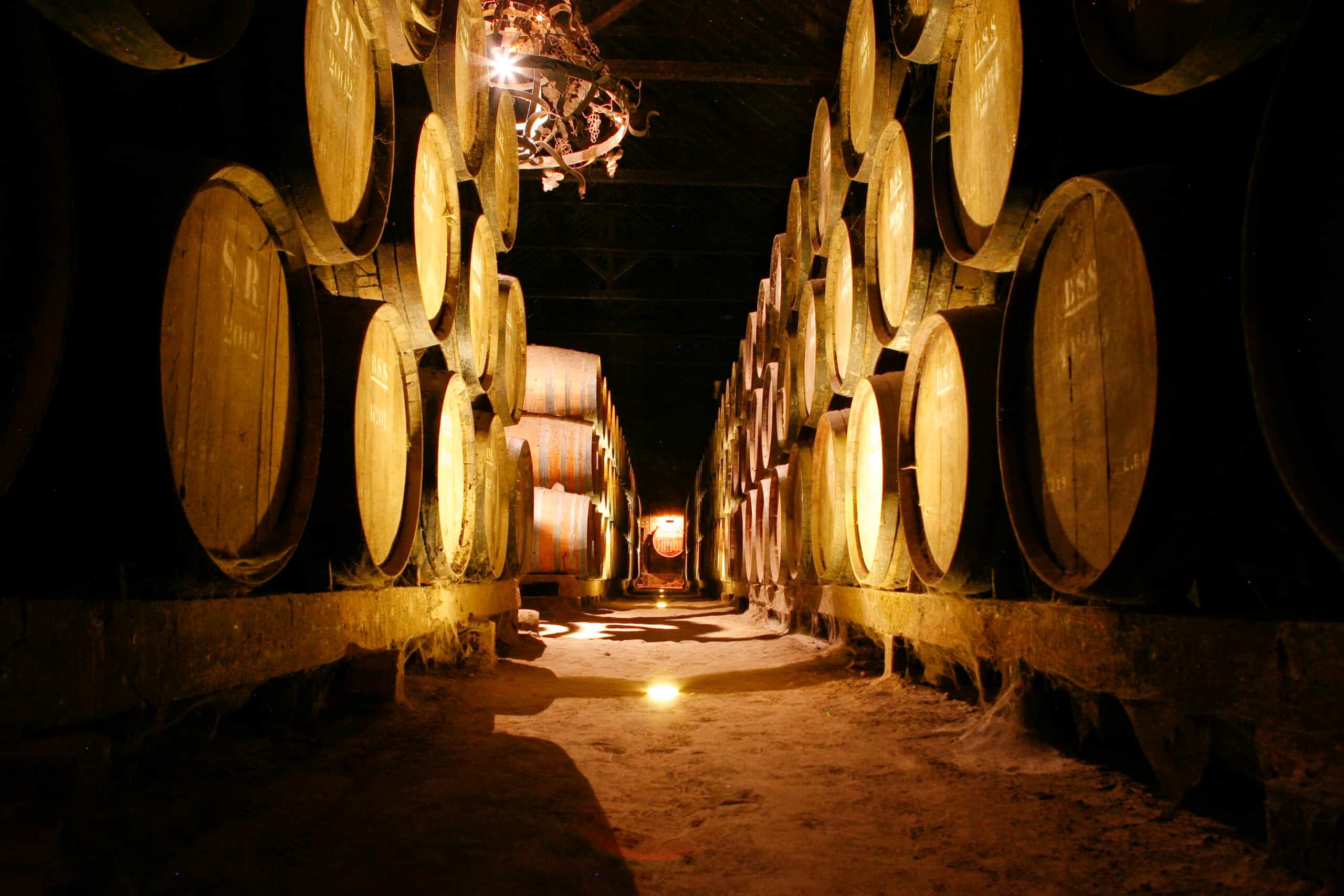 Arrabida Wine Tour from Lisbon: Wineries, Tastings & Tile Factory (group tour)