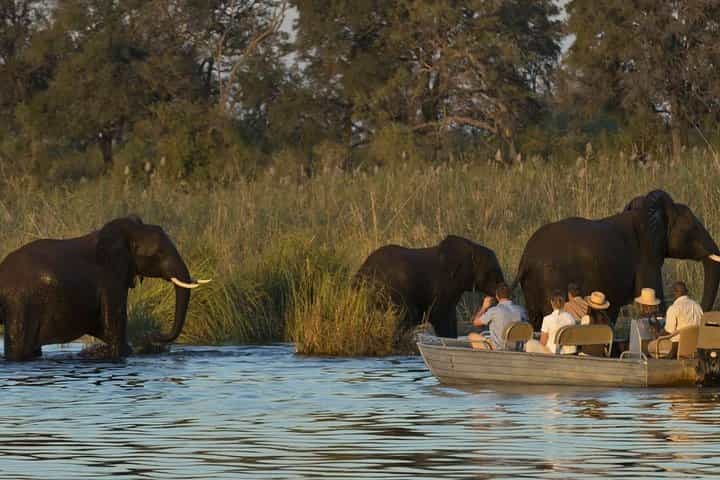 Half Day Zambezi River Canoeing Experience with Pickup