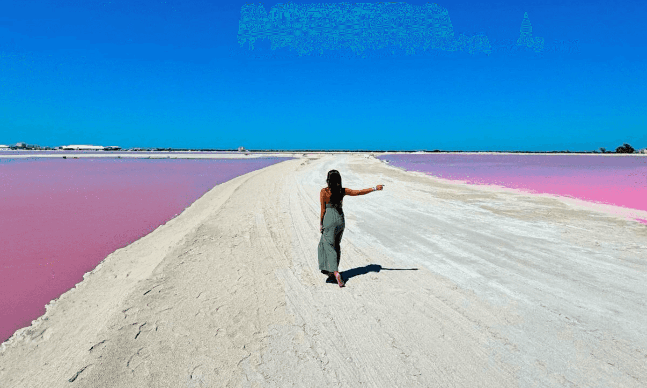 From Cancun: Rio Lagartos & Las Coloradas