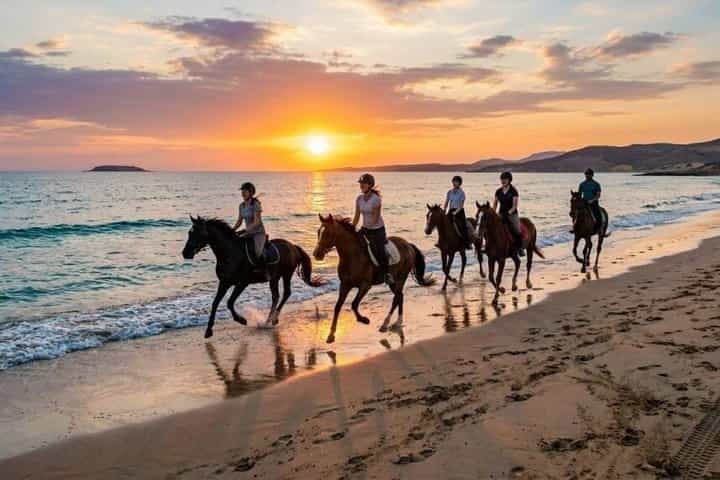 Horse Riding VIP Adventure – Desert, Beach & Sea Swim – Hurghada