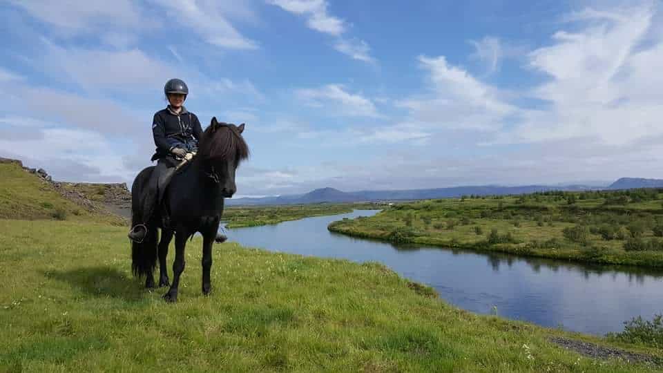 3-Hour Horseback Riding Tour