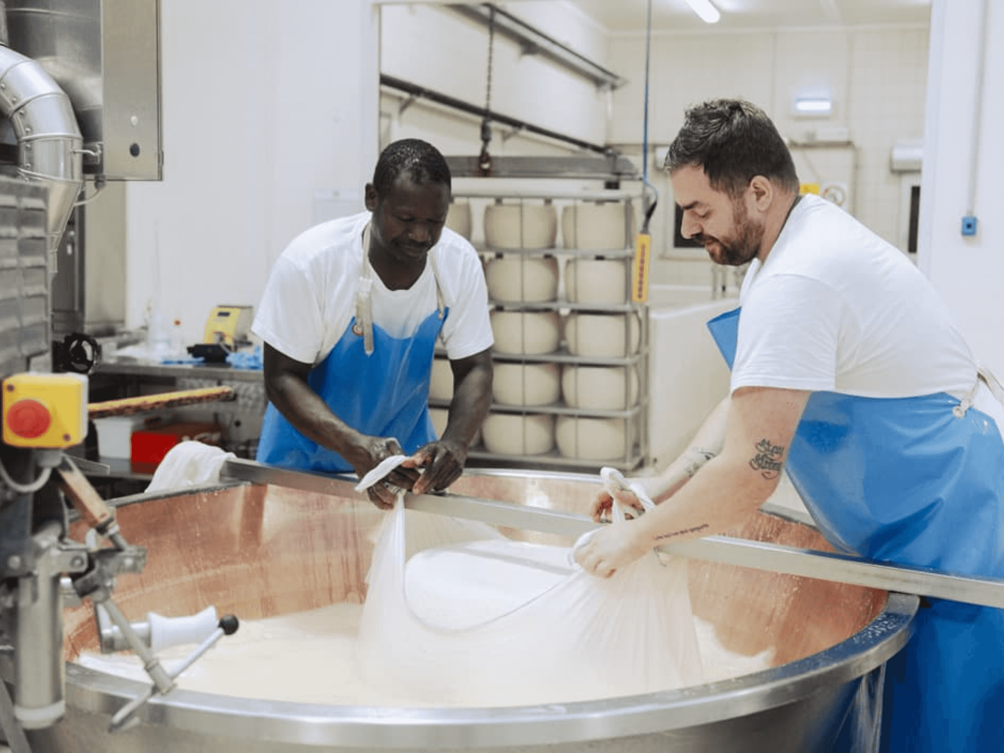 Parmesan Cheese Factory Tour & Tasting near Parma