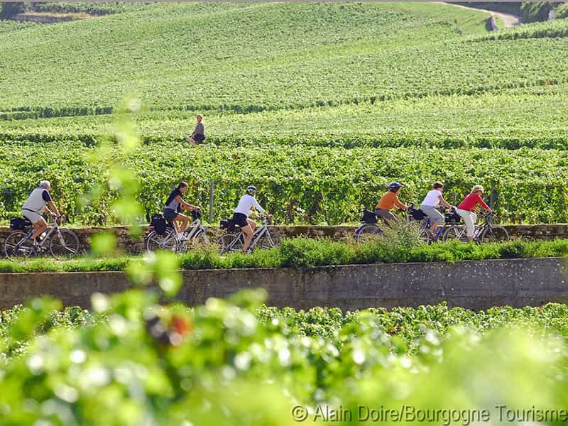 Chateau Cyclo Vino Côte de Nuits