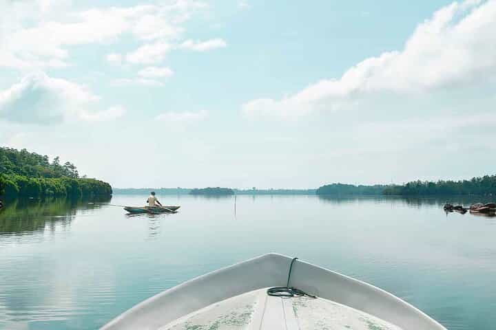 Muthurajawela Bird Watching Day Tour from Colombo or Negombo 