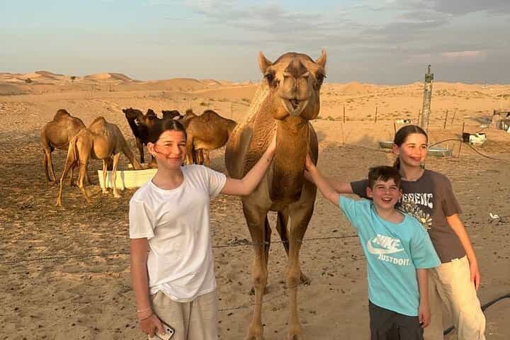 All in One Dubai Abu Dhabi Tour & Evening Desert Safari 