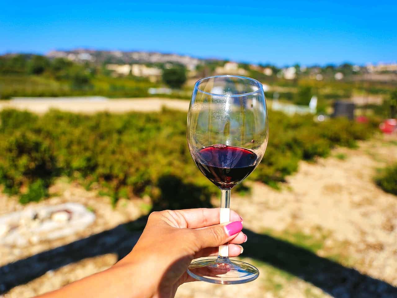 Paphos: Wine Tour – Vineyards, Tastings & Scenic Views